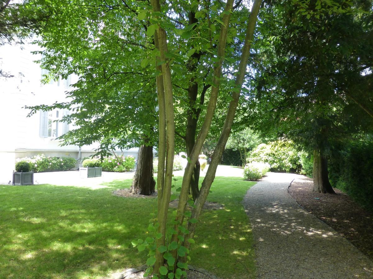 Entire Zurich Villa, Your Private Luxury Escape With In House Staff Eksteriør bilde